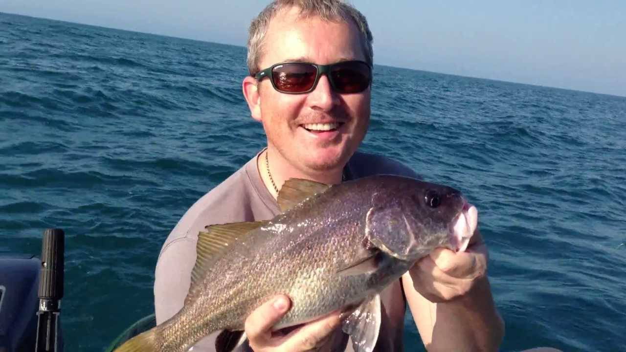Морской карась (ласкирь) — описание рыбы и особенности ловли