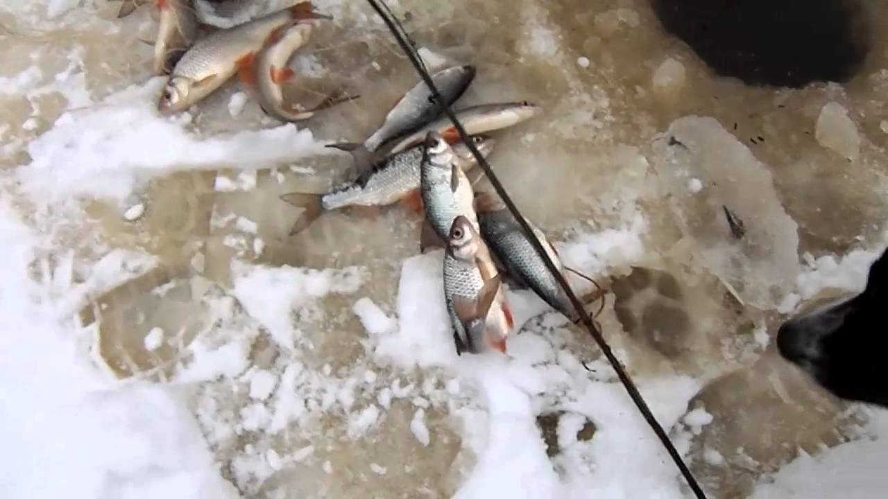 Рыбалка на косынку зимой - как изготовить снасть своими руками, способы привязать к леске, техника вылова
