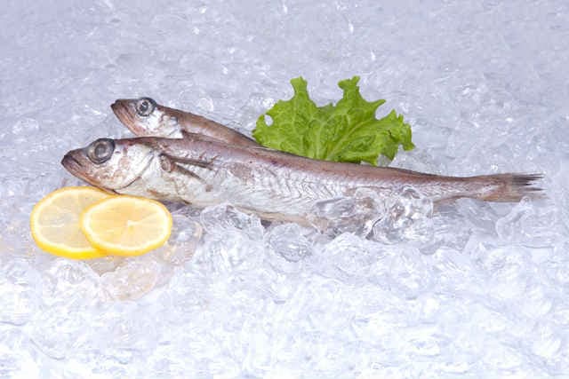 Чем полезна рыба пикша