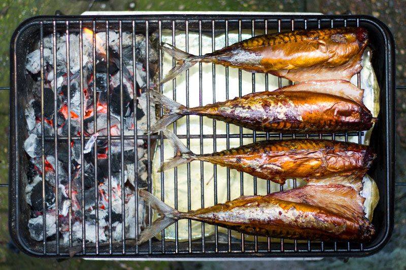 Рыба холодного копчения: технология приготовления в домашних условиях, сколько коптить по времени