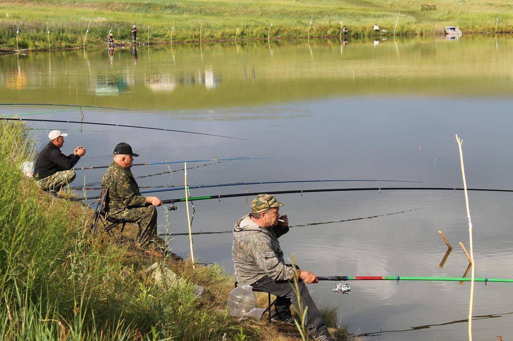 Места для рыбалки в новосибирской области – платная и бесплатная рыбалка!