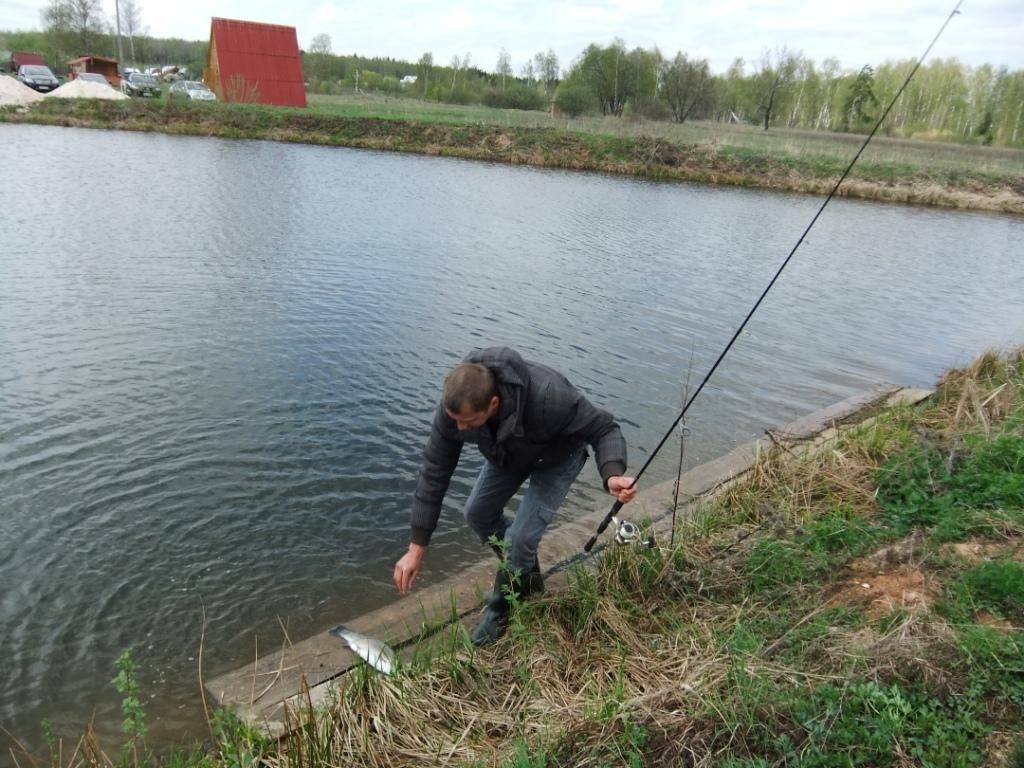 Рыбалка в высоково на крх мосфишер, чеховский район подмосковья