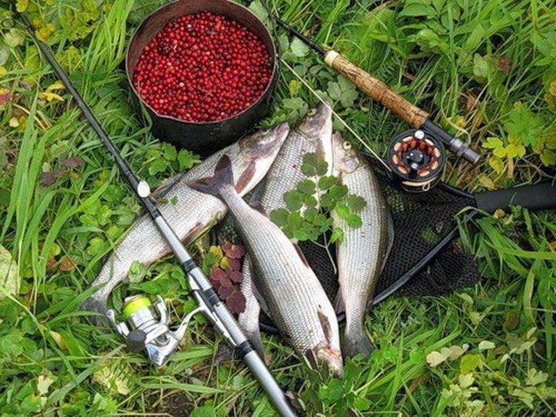 Рыбалка на оке под серпуховым: места и особенности