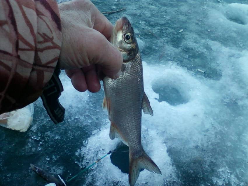 Оснастка удочки для зимней рыбалки