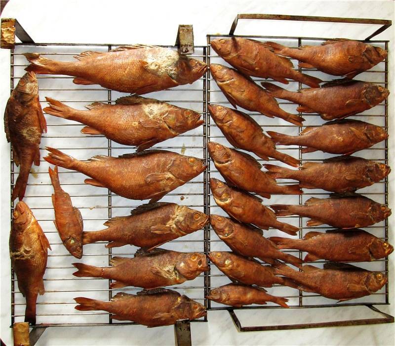 Деликатесы: рыба копченая в домашних условиях в коптильне горячего копчения