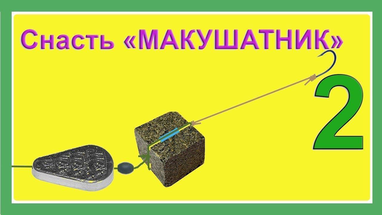 Ловля карпа на макуху