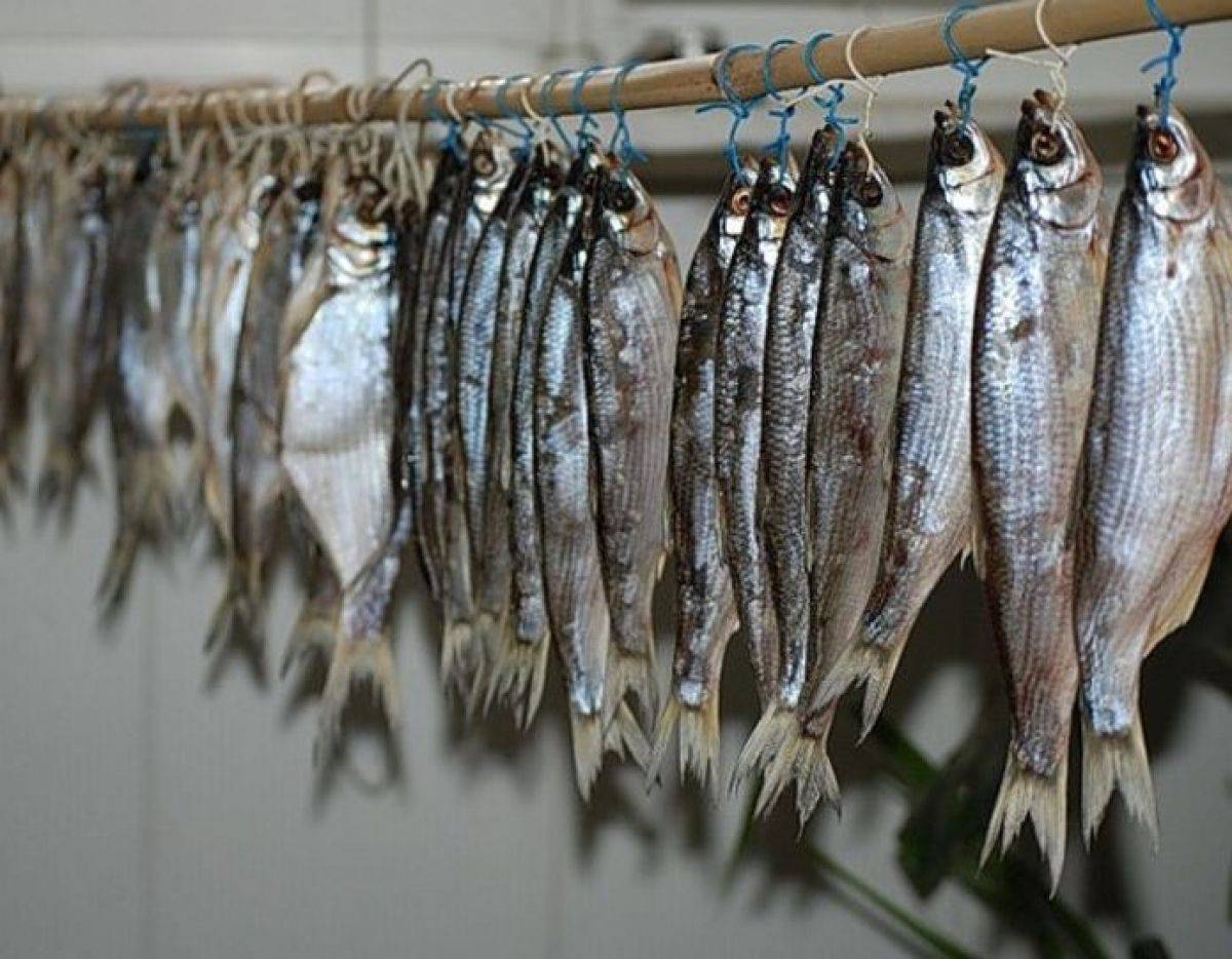 Как вялить рыбу в домашних условиях — рецепты засолки, калорийность, сколько нужно завяливать по времени
