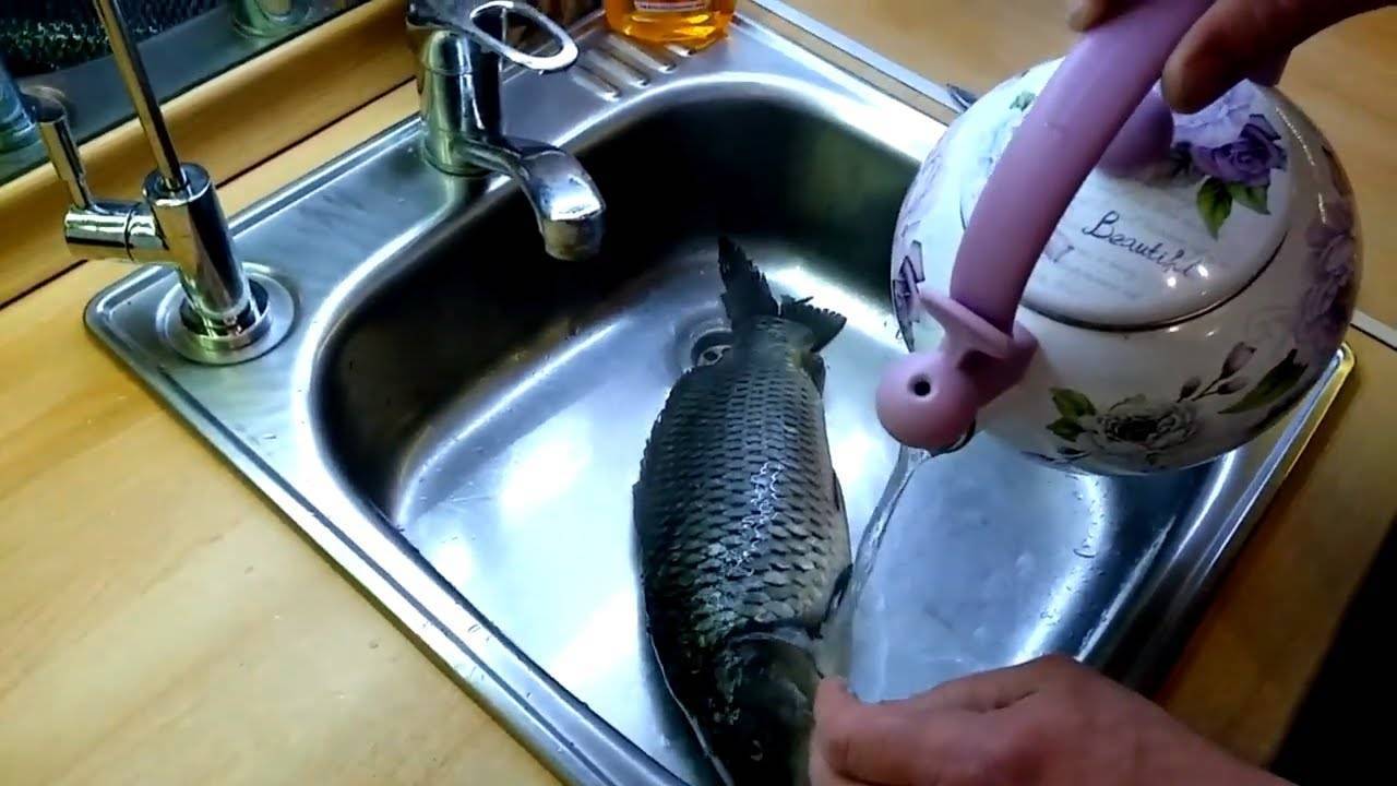 Как чистить рыбу?