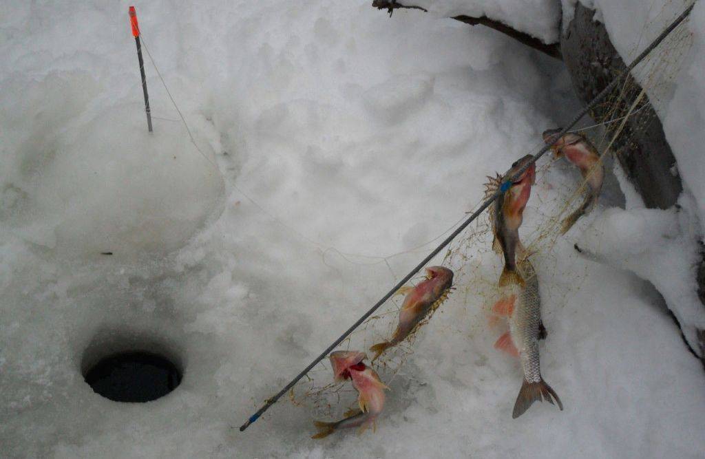 Косынка для зимней рыбалки своими руками: как правильно изготовить и использовать её для ловли рыбы