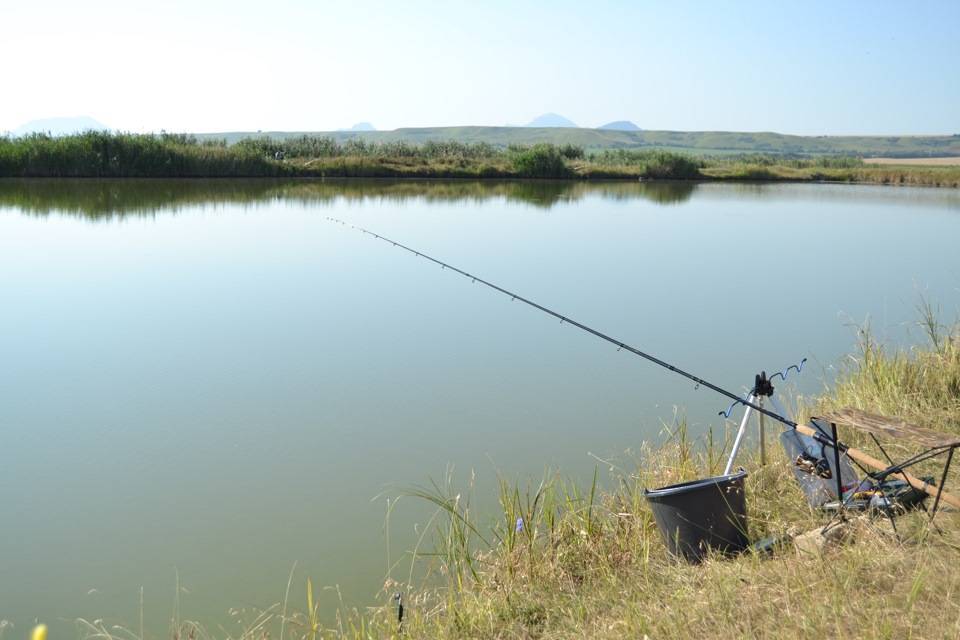 Самые рыбные места в ставропольском крае и сезонный запрет
