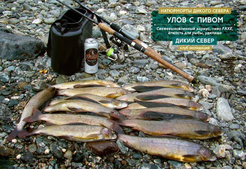 Рыбалка в ханты-мансийском автономном округе – югра: лучшие места на карте топ-10