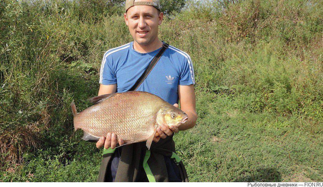 Рыбалка на оке в серпуховском районе, платные и бесплатные водоемы