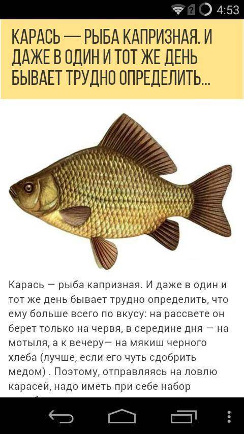 Как выбрать место для рыбалки?