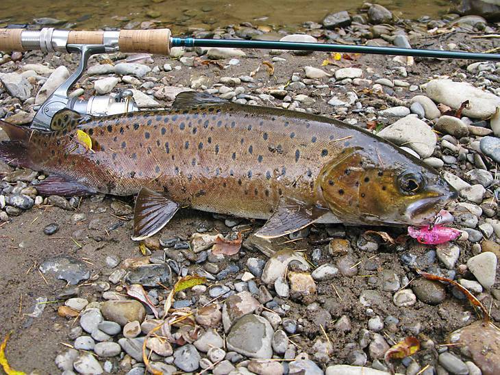 Рыбалка на реке лена