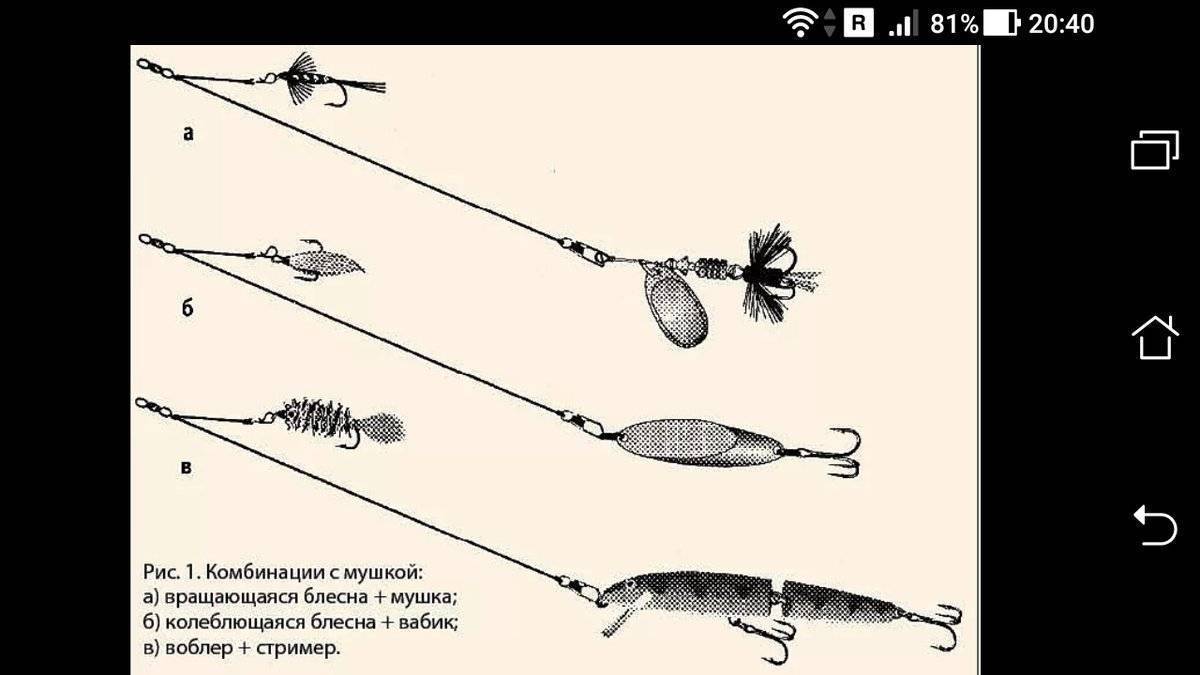 Как ловить щуку на блесну: техника ловли на колебалки и вращалки