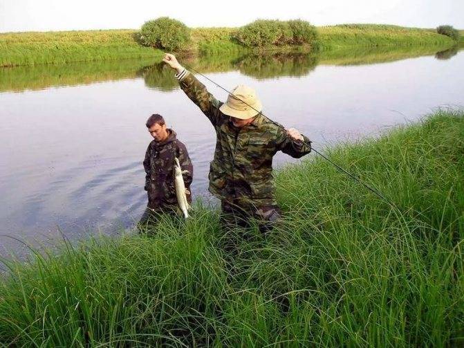 Рыбалка в саратовской области - читайте на сatcher.fish
