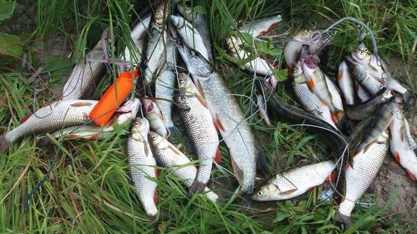 Смена рыбного места — залог хорошего улова