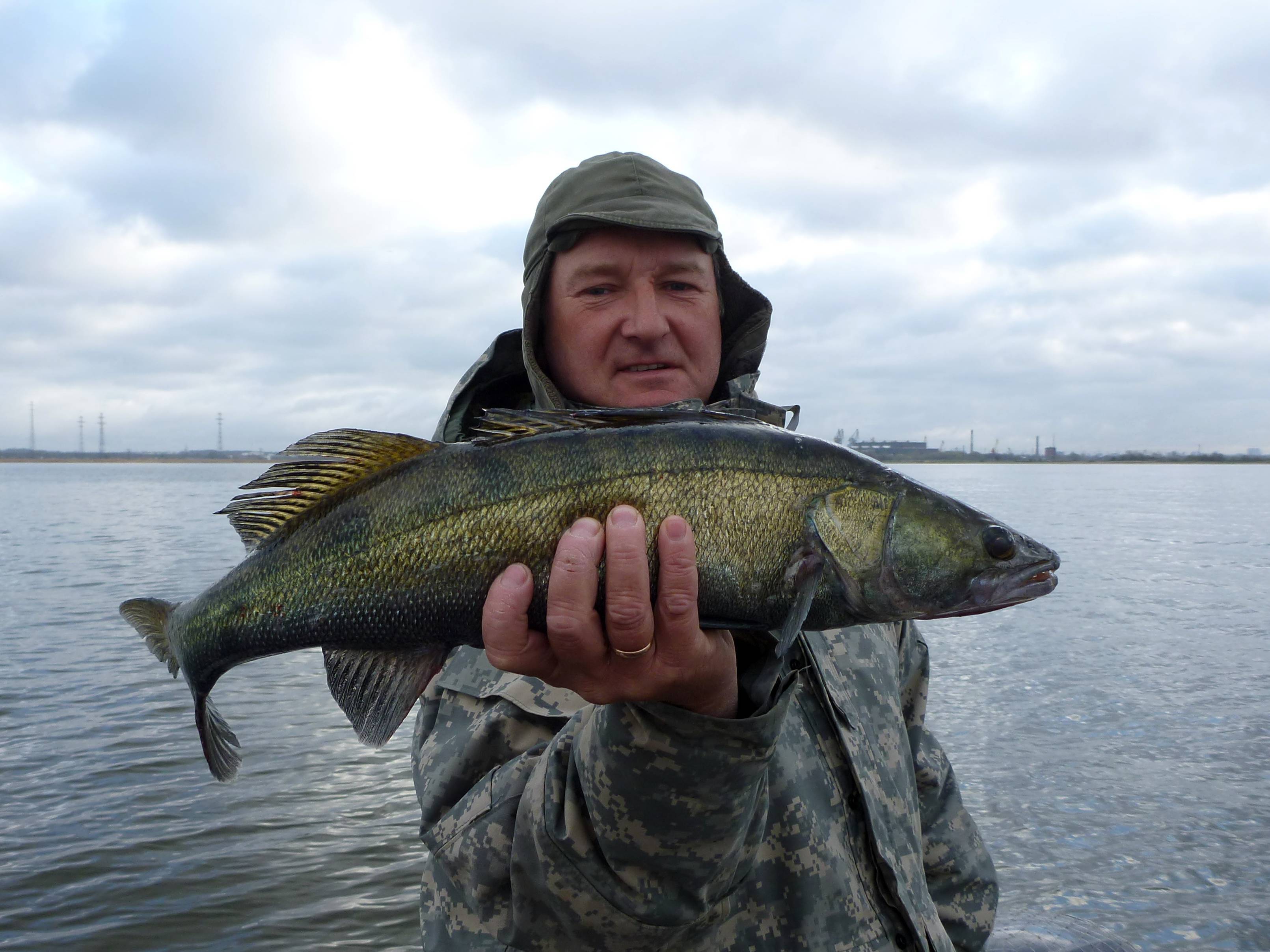 Куда поехать на рыбалку в калининградской области и запрет 2019