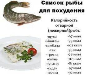 Похудение с пользой для организма: разгрузочный день на рыбе с кефиром или овощами, результаты и отзывы