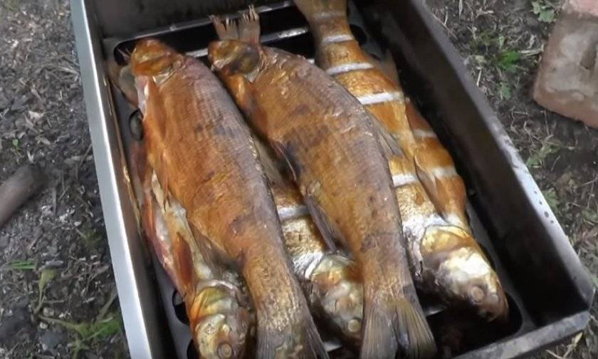 Омуль копченый: подготовка рыбы, правила хранения, холодный и горячий методы