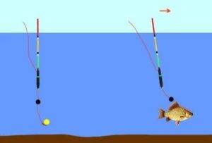 5+5 хитрых лайфхаков и полезных советов для рыбалки: секреты бывалых рыбаков