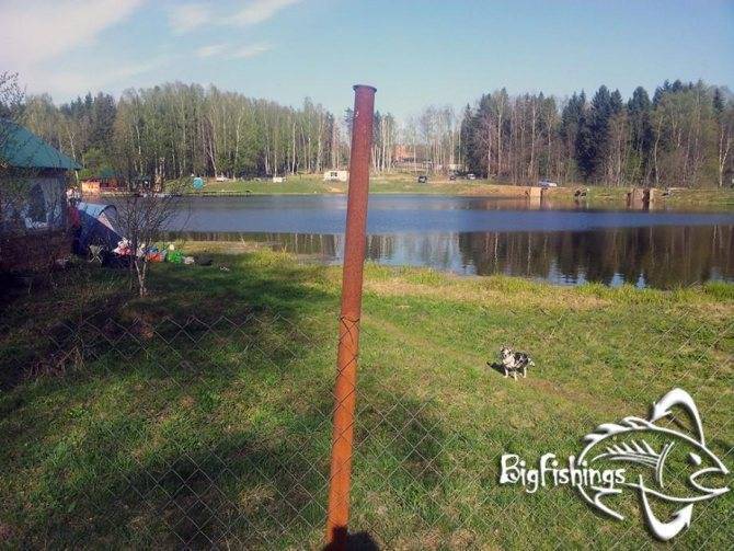 Платная рыбалка в подмосковье - хомяково