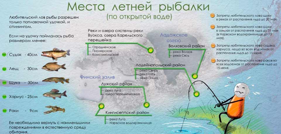 Белоярское водохранилище, свердловская область — базы отдыха, рыбалка 2020 на белоярке, погода, на карте, как проехать, рыбные места