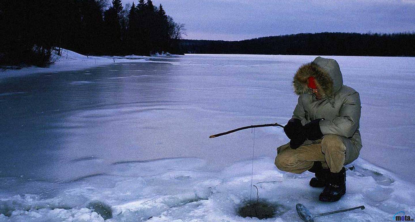 Ловля карася зимой: зимняя рыбалка со льда. как поймать на пруду? на какие снасти клюет? прикормка и секреты ловли в январе и феврале, оснастка удочек