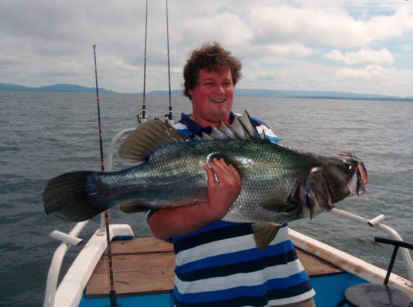 Нильский окунь: самый большой речной окунь в мире, рыбалка на африканском континенте