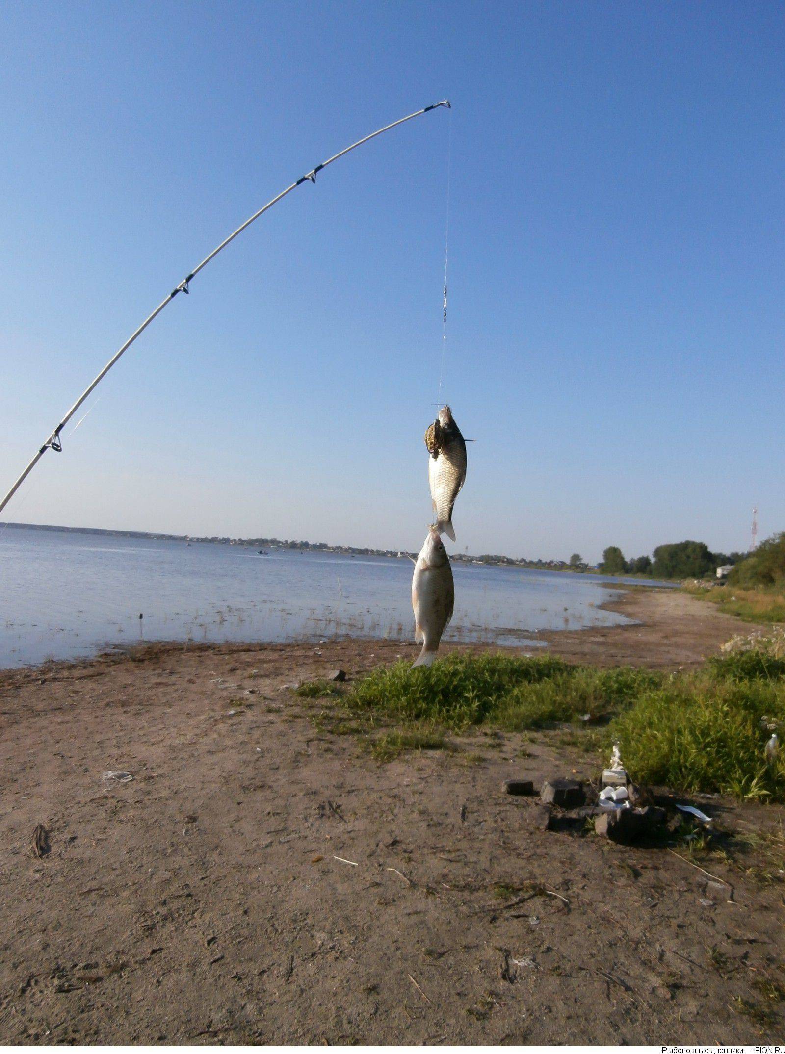 Лучшие рыболовные места свердловской области – рыбалке.нет