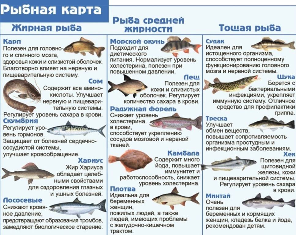Нежирные сорта рыбы