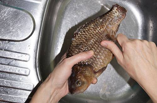 Как приготовить карася на сковороде или в духовке, правильно почистить и разделать рыбу