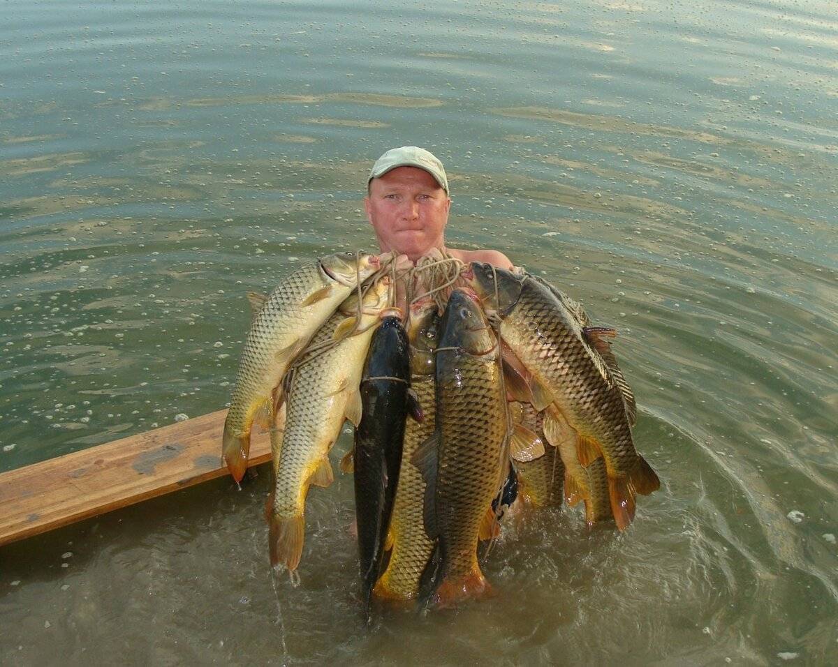 Рыбалка на онежском озере