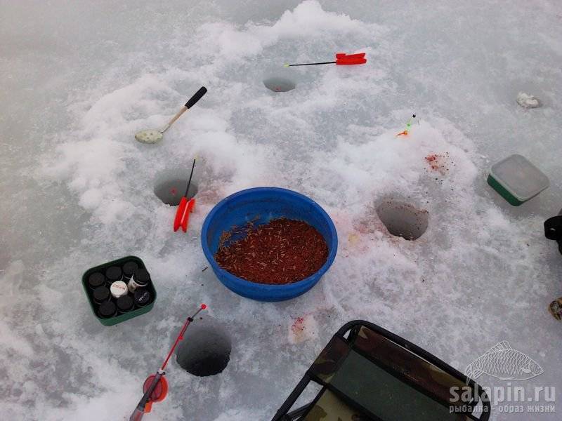 Снасти для зимней рыбалки: устройство и назначение