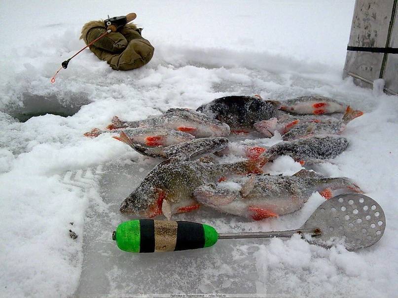 Зимняя рыбалка: топ методов ловли и желанных трофев