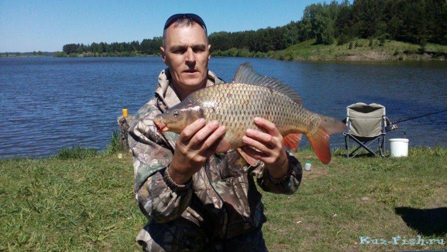Рыбалка в кемеровской области 2018: платная и бесплатная