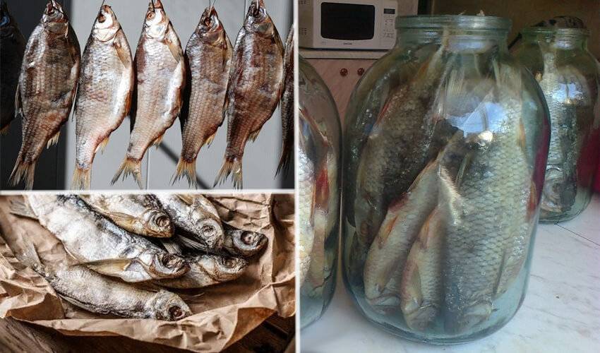 Как хранить вяленую рыбу в домашних условиях летом и зимой