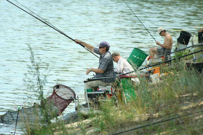 Рыбалка в самаре: платная и бесплатная
