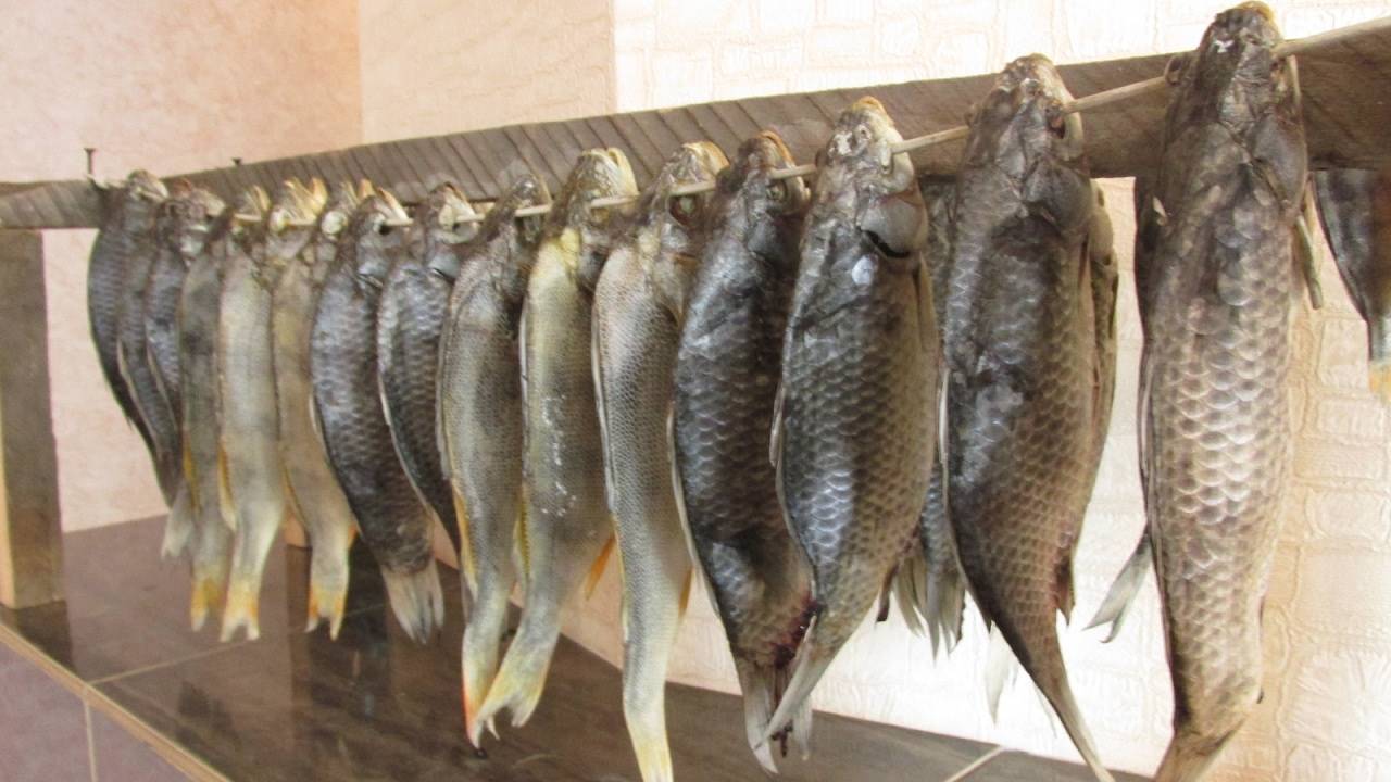 Как хранить вяленую рыбу: правила, нюансы и особенности хранения рыбы