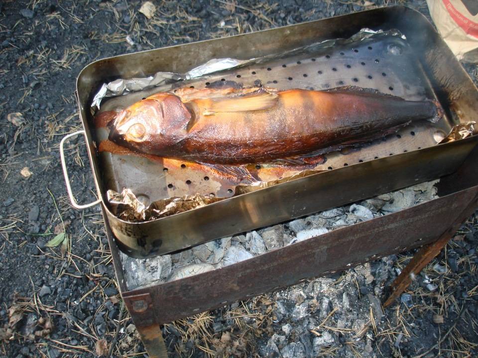 Как коптить карпа: рецепты копченой рыбы в коптильне горячего копчения, способы закоптить