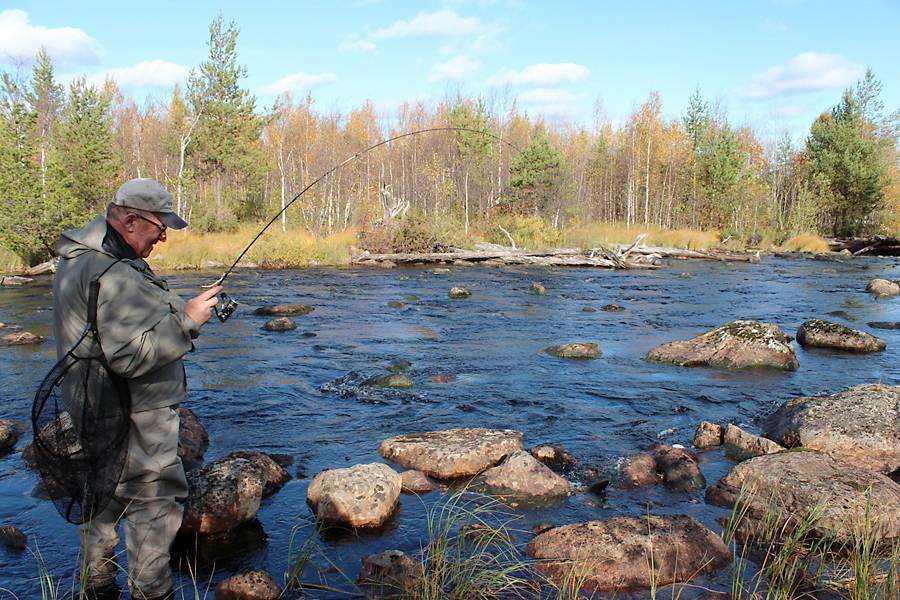 Рыбалка в ямало-ненецком автономном округе: лучшие места на карте топ-10