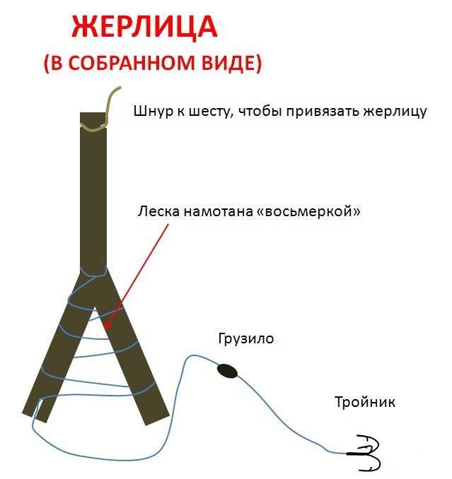 Как летом правильно ловить и сделать жерлицу на щуку своими руками