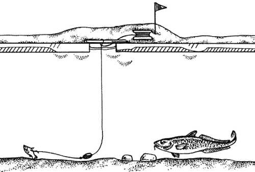 Ловля налима зимой на стукалку. пошаговая инструкция по изготовлению стукалки на налима