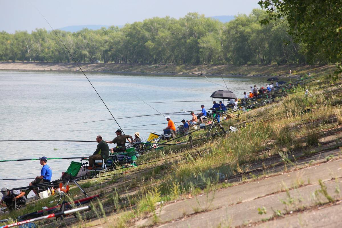 Лучшие рыболовные места самарской области – рыбалке.нет