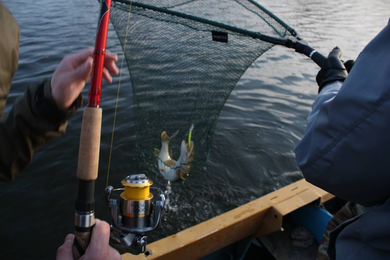 Троллинг рыбалка: методы ловли, снасти и приманки