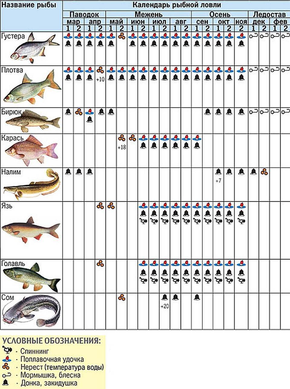 В какое время суток ловить рыбу, влияние времни суток на клев и улов