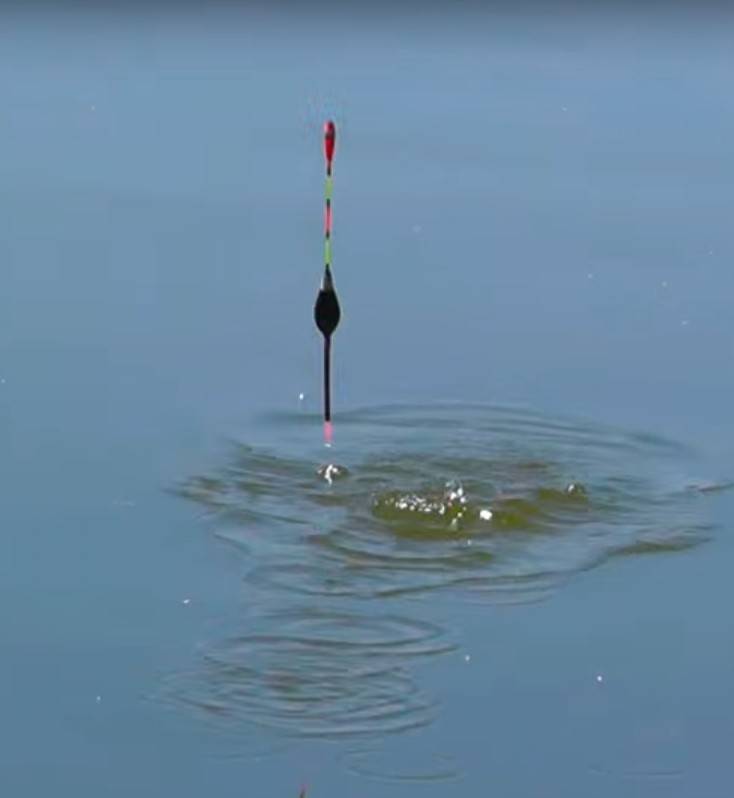 Ловля окуня на живца с помощью поплавочной удочки