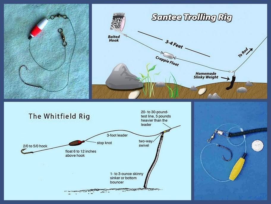 Когда имеет смысл ловля на воблер с отводным поводком: троллинг и кастинг - информационный сайт для рыболовов любителей