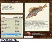 Ерш рыба. описание, особенности, виды, образ жизни и среда обитания ершей | живность.ру
