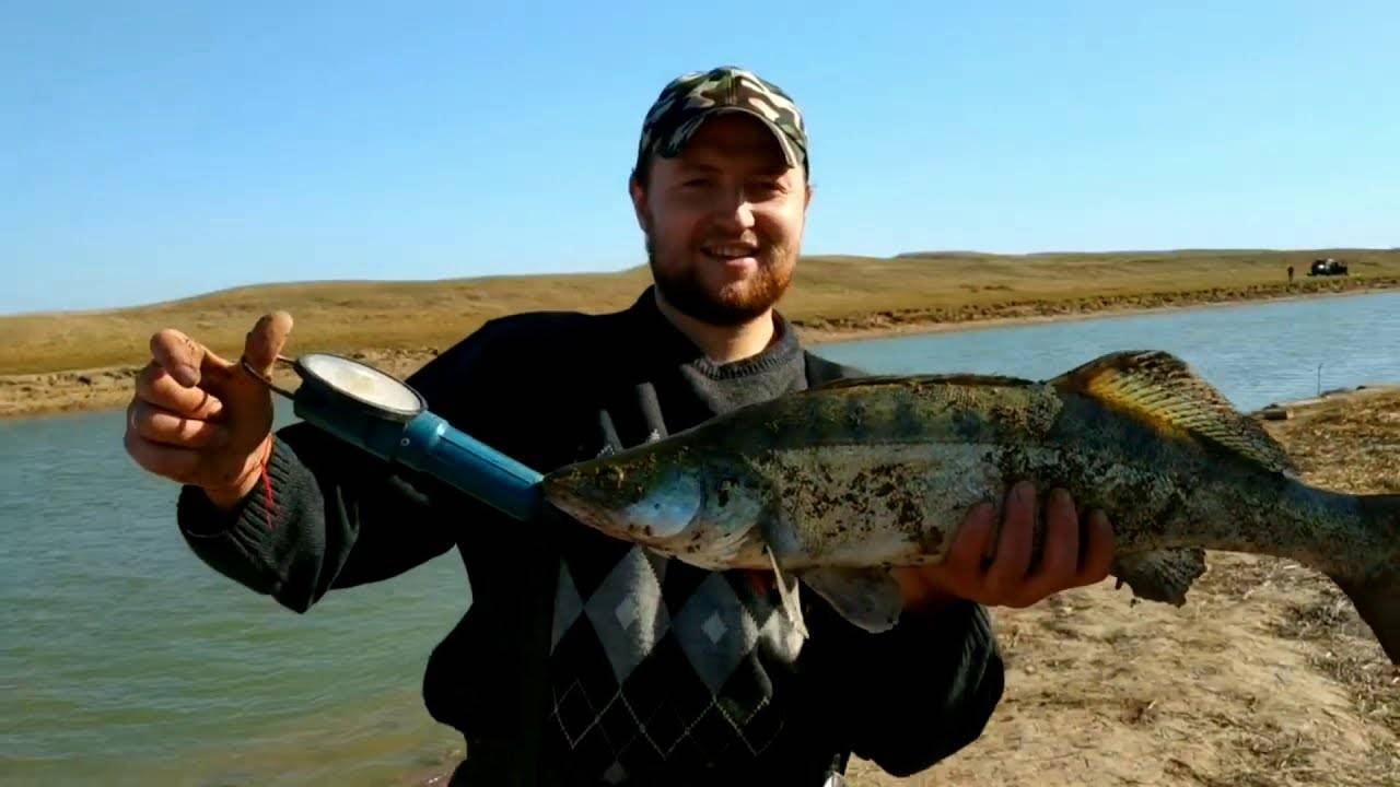 Лучшие водоемы казахстана для рыбалки | азия на weproject